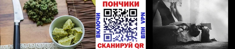 Canna-Cookies марихуана  дарк нет формула  Новошахтинск 