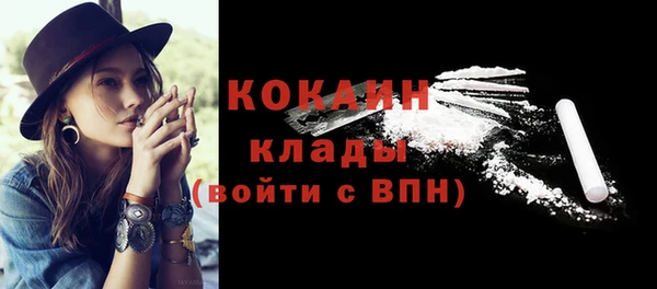 тгк Алексин