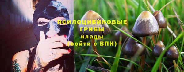 Альфа ПВП Магадан