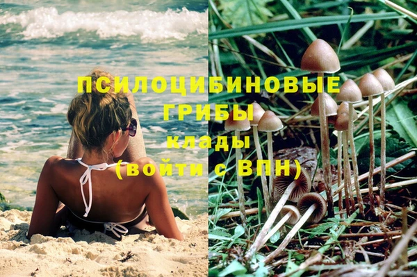 тгк Алексин