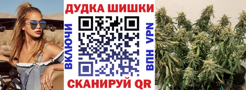 Бошки марихуана White Widow  мега как зайти  Новошахтинск  дарнет шоп 